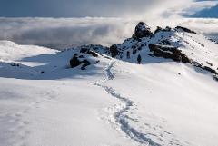 11 Days Mount Kilimanjaro Climb – Lemosho Route