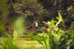 11 Days - Journey to Wellbeing,  Adventure & Wellness Retreat 