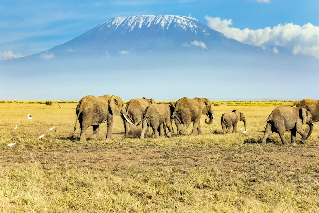 7 Days Mount Kilimanjaro Climb – Marangu Route