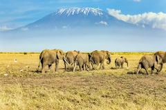 7 Days Mount Kilimanjaro Climb – Marangu Route
