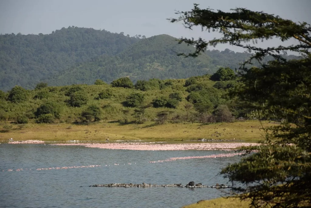 Cycling Day Tour – Arusha National Park