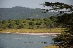 Cycling Day Tour – Arusha National Park
