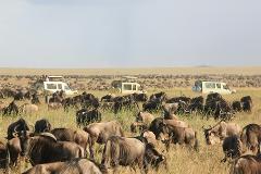 Serengeti & Maasai Mara (Kenya) - Migration Safari Tour