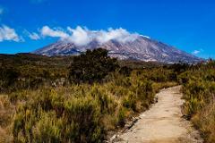 Bike Tour to Shira Plateu