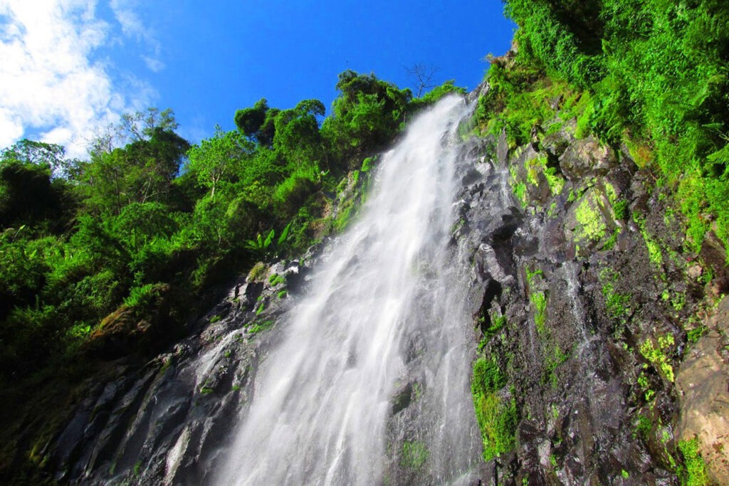 ½-Day Materuni Waterfalls & Coffee Tour