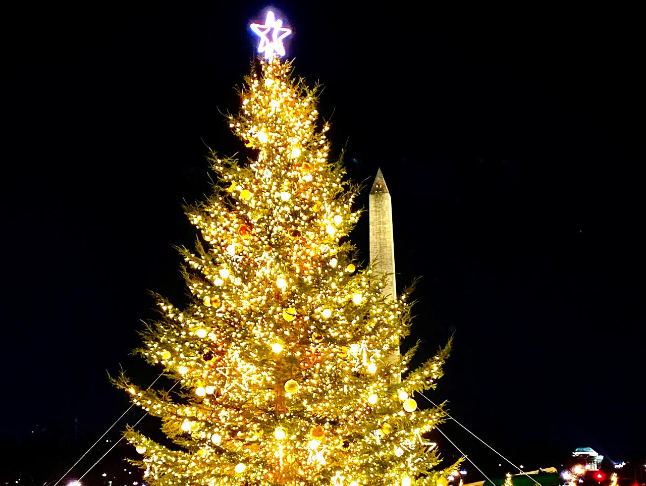 Holiday Lights DC