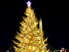 Holiday Lights DC