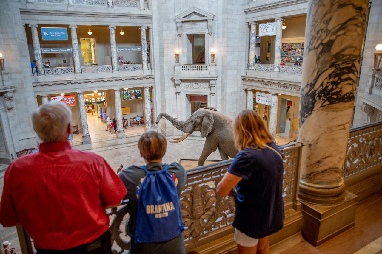 The Smithsonian "Big 3" Highlights Tour: Icons of the National Mall