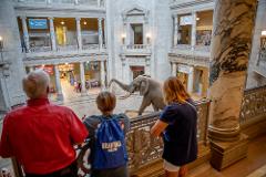 The Smithsonian "Big 3" Highlights Tour: Icons of the National Mall