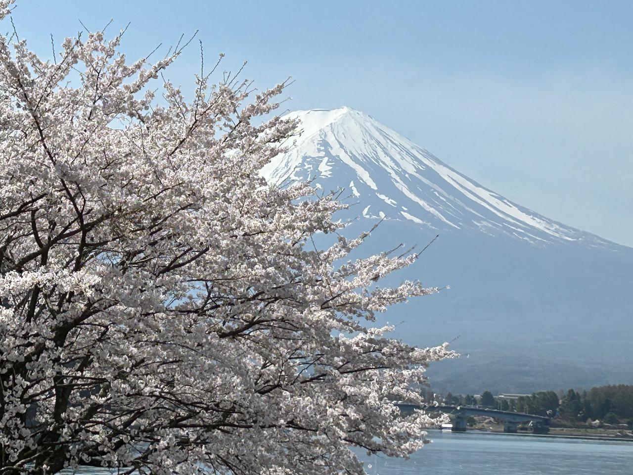 Group Plan, Japan Golden Rout for 14 Days over 15 guests
