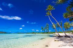 Vanuatu Your Way: Custom Half-Day Tour