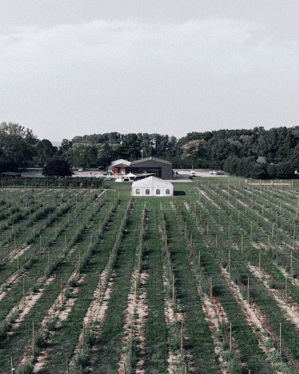 Ironwood Estate Tour