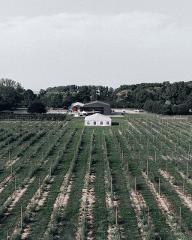 Ironwood Estate Tour
