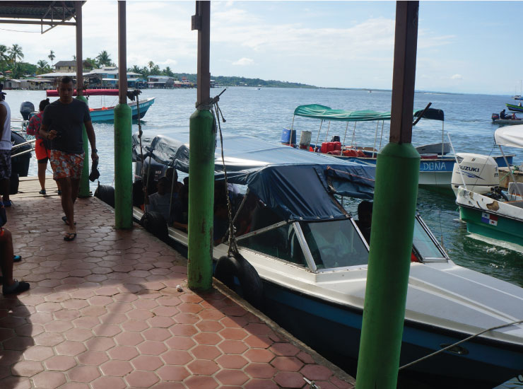 Shuttle Isla Colon to David NEW