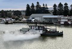 Murray River Experience 2 hour  Cruise
