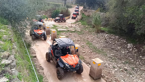 Buggy 3H