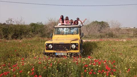 Half-Day Off-Road Jeep Safari