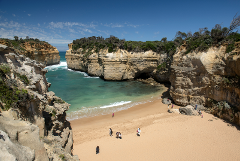 Great Ocean Road Coastal Adventure - From $350