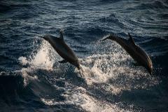 Sydney to Brisbane Tour