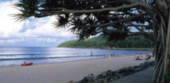 Sunshine Coast Hinterland and Noosa Day Tour