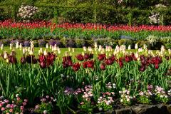 Toowoomba Carnival of Flowers 2-Day Tour