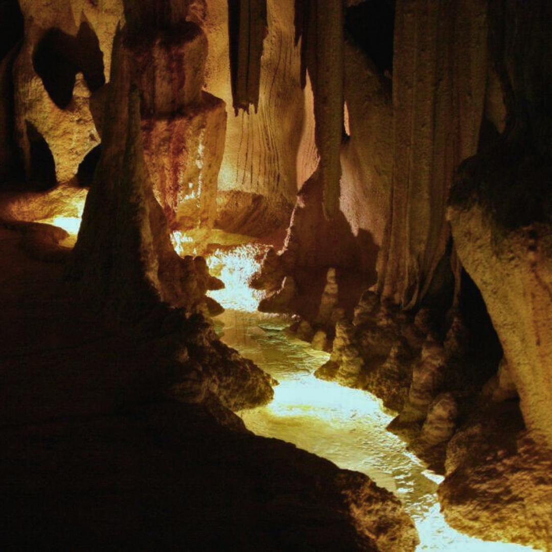 Private Glow Worm Magic & Scenic Mountain Views Tour (Gold Coast Departure, 1–3 Pax)