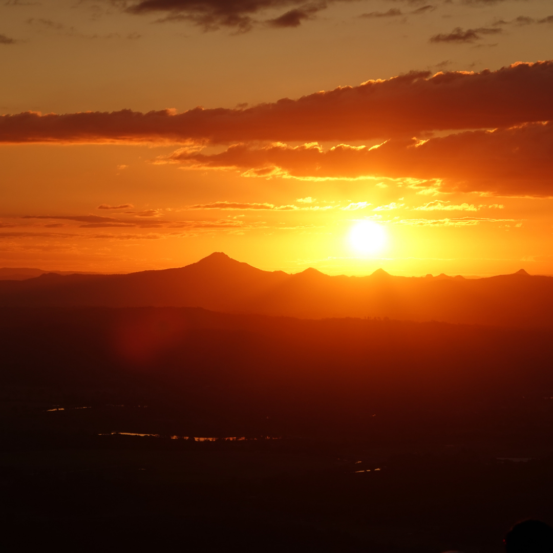 Private Glow Worm Magic & Scenic Mountain Views Tour (Gold Coast Departure, 1–3 Pax)