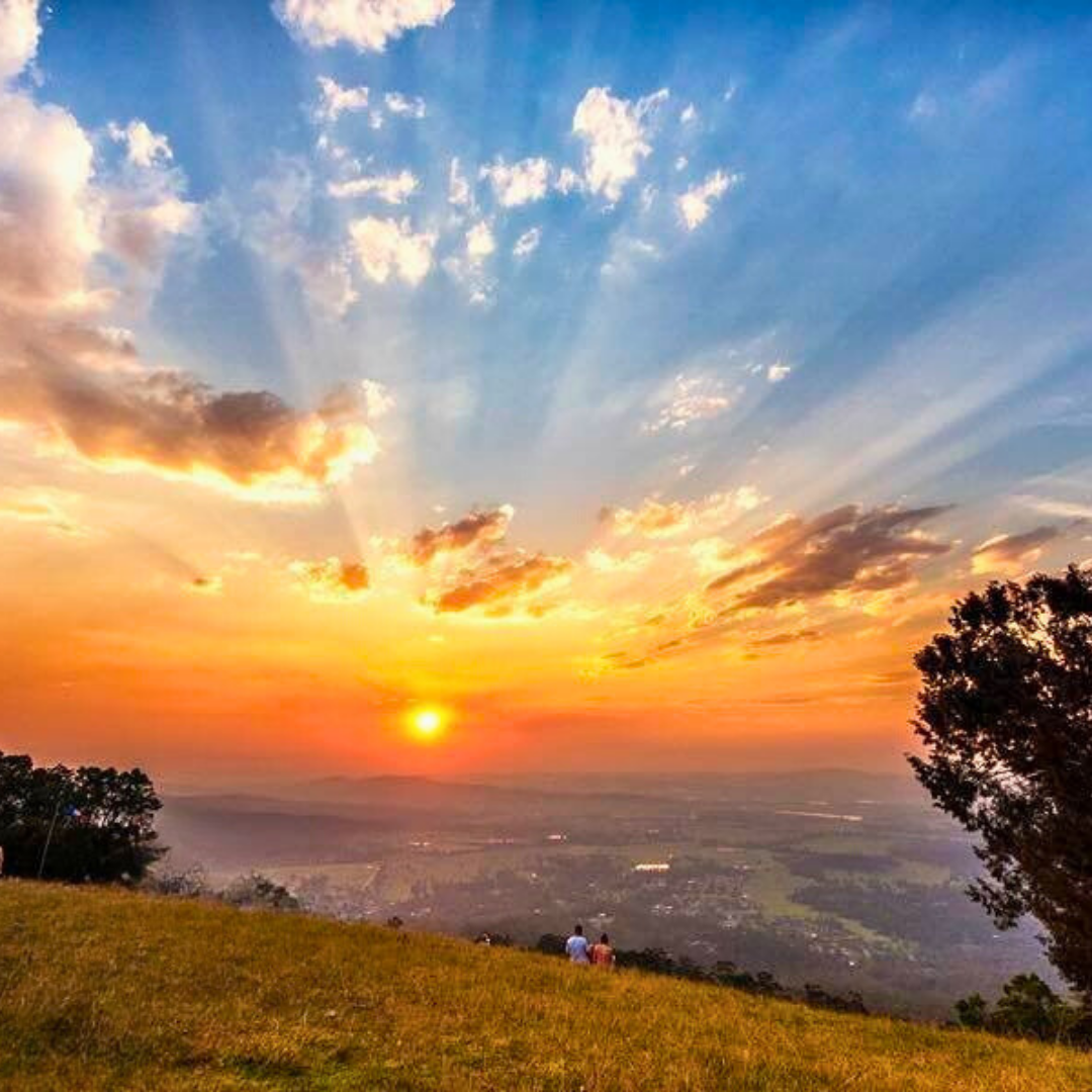 Private Rainforest Adventures, Thunderbird Fun & Local Flavours Tour (Brisbane Departure, 1–3 Pax)