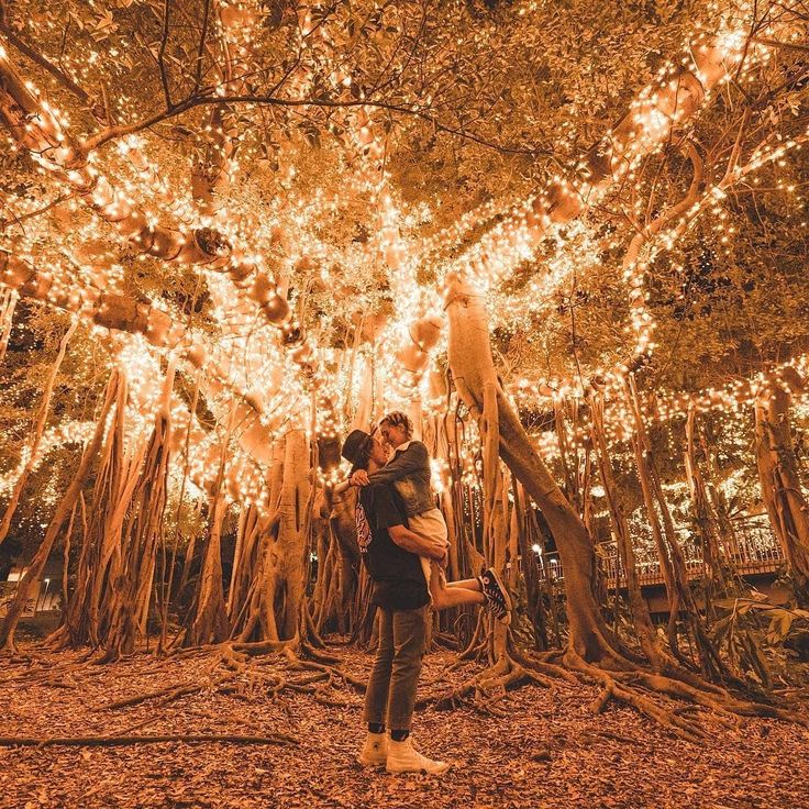 Brisbane Full-Day Experience – Private Tour (Departing from Gold Coast, 1–3 Pax)