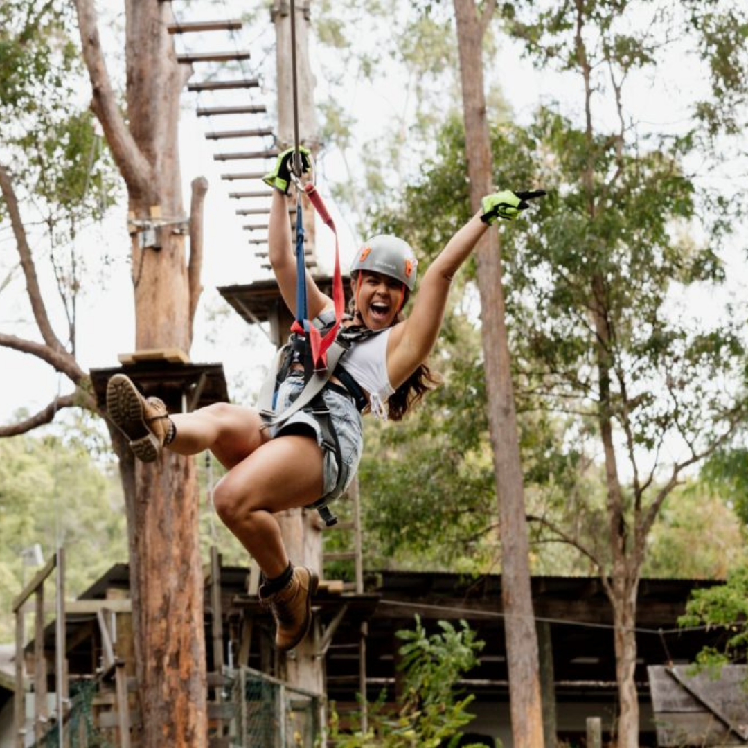 Private Rainforest Adventures, Thunderbird Fun & Local Flavours Tour (Brisbane Departure, 1–3 Pax)