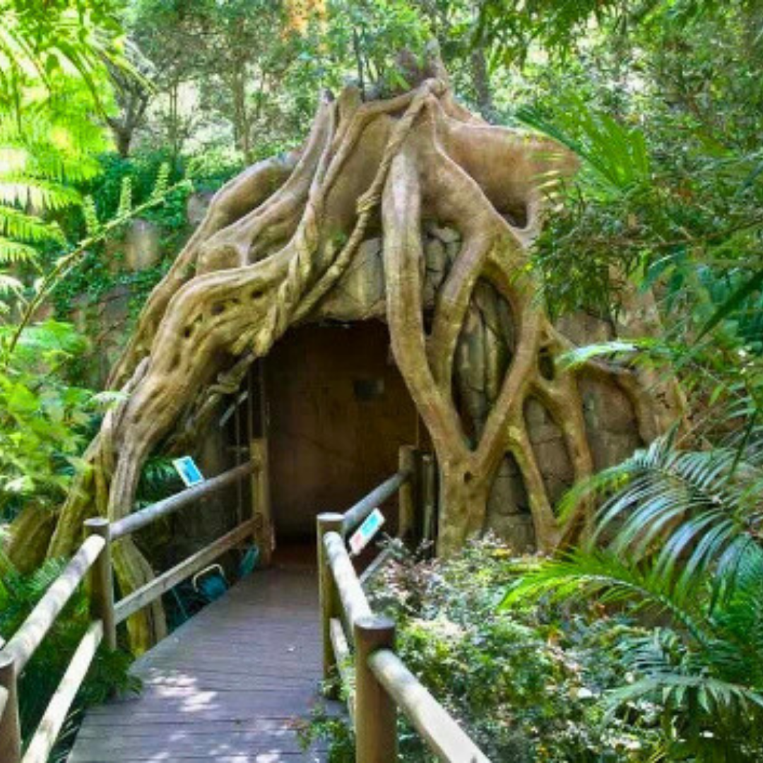 Private Rainforest Adventures, Thunderbird Fun & Local Flavours Tour (Brisbane Departure, 4–7 Pax)