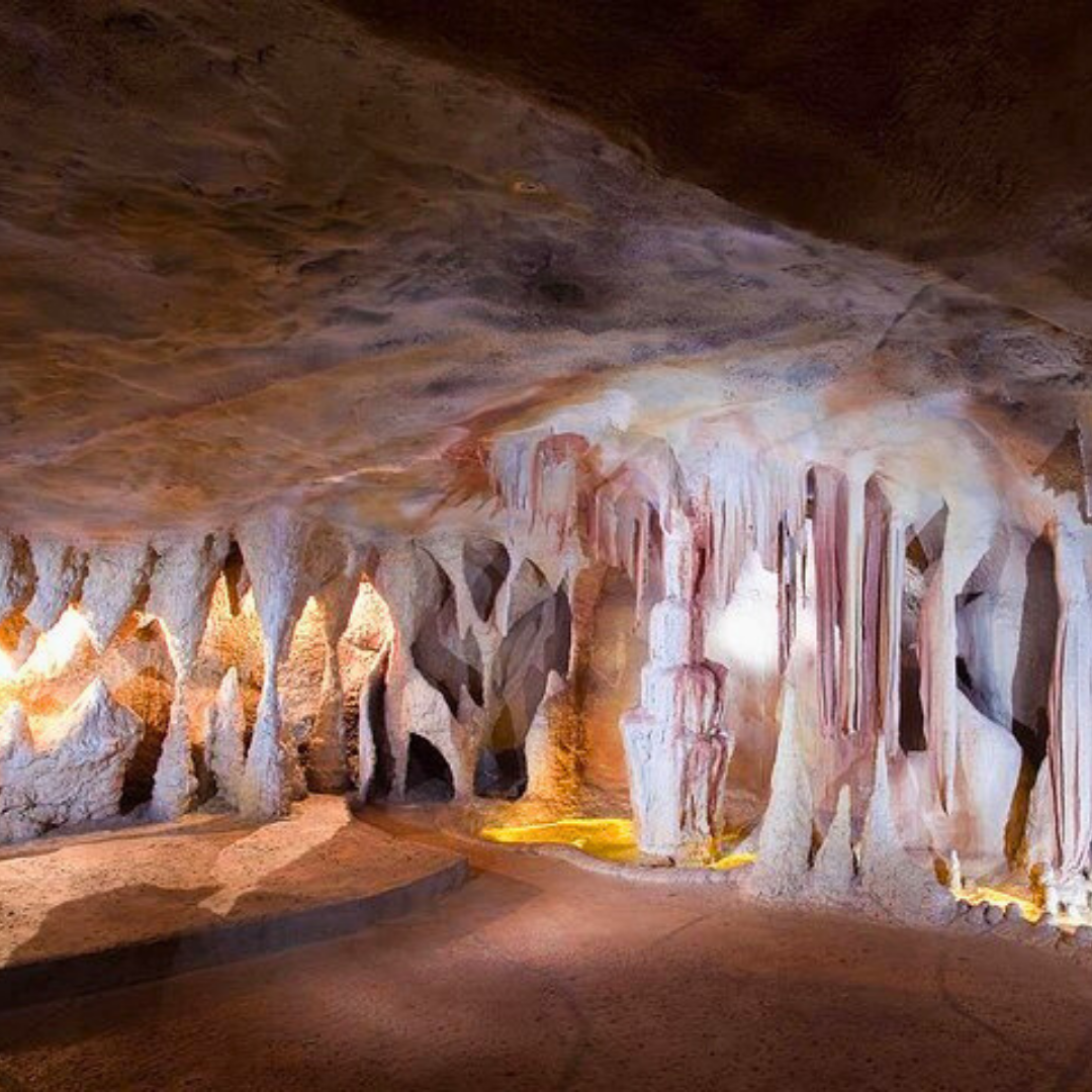 Private Glow Worm Magic & Scenic Mountain Views Tour (Gold Coast Departure, 1–3 Pax)