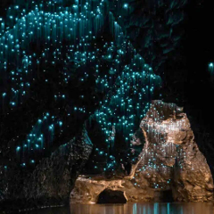 Private Glow Worm Magic & Scenic Mountain Views Tour (Brisbane Departure, 4–7 Pax)