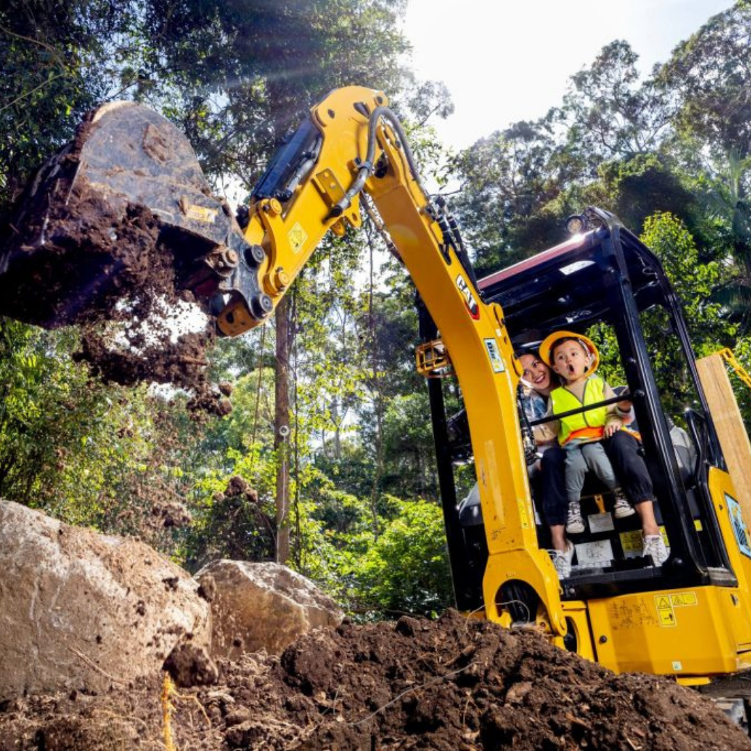 Private Rainforest Adventures, Thunderbird Fun & Local Flavours Tour (Brisbane Departure, 4–7 Pax)