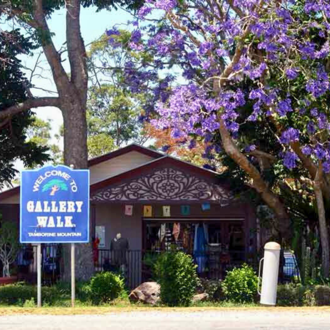 Private Rainforest Adventures, Thunderbird Fun & Local Flavours Tour (Brisbane Departure, 4–7 Pax)