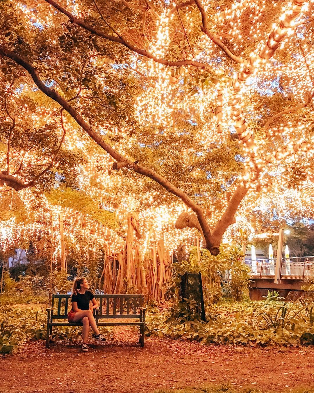 Brisbane Full-Day Experience – Private Tour (Departing from Gold Coast, 1–3 Pax)