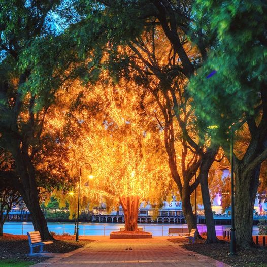 Brisbane Full-Day Experience – Private Tour (Departing from Gold Coast, 1–3 Pax)