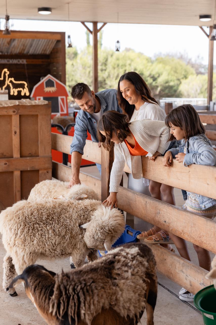 Creswick Wool Heritage and Animal Farm Experience 