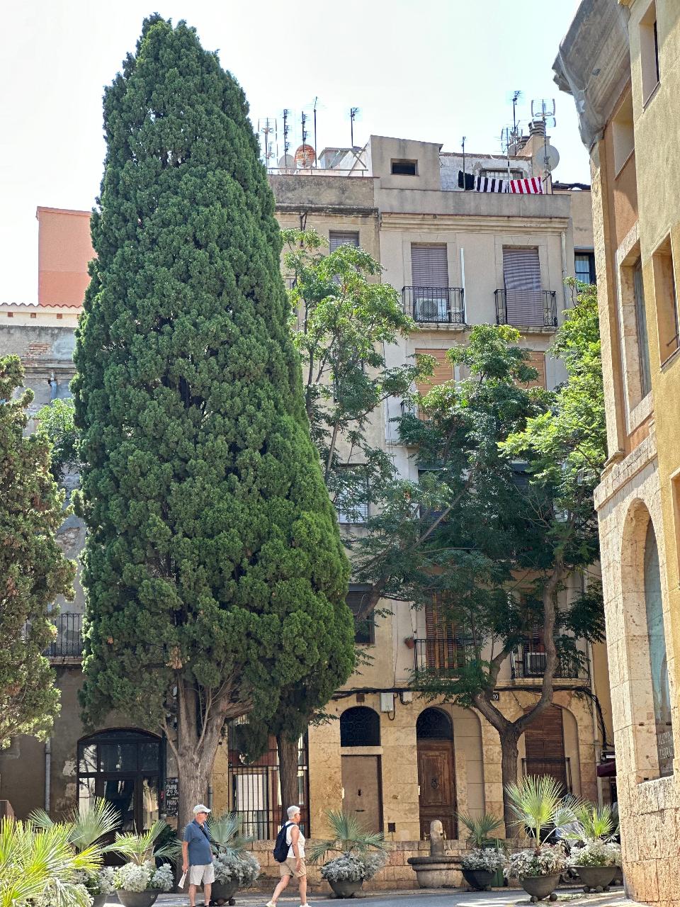 The Ultimate Tarragona Sunlight and Shadows 'Like a Local' Cruise Shore Excursion Experience