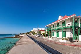 Shared Roatan  'Like a Local' Cruise Shore Excursion Experience