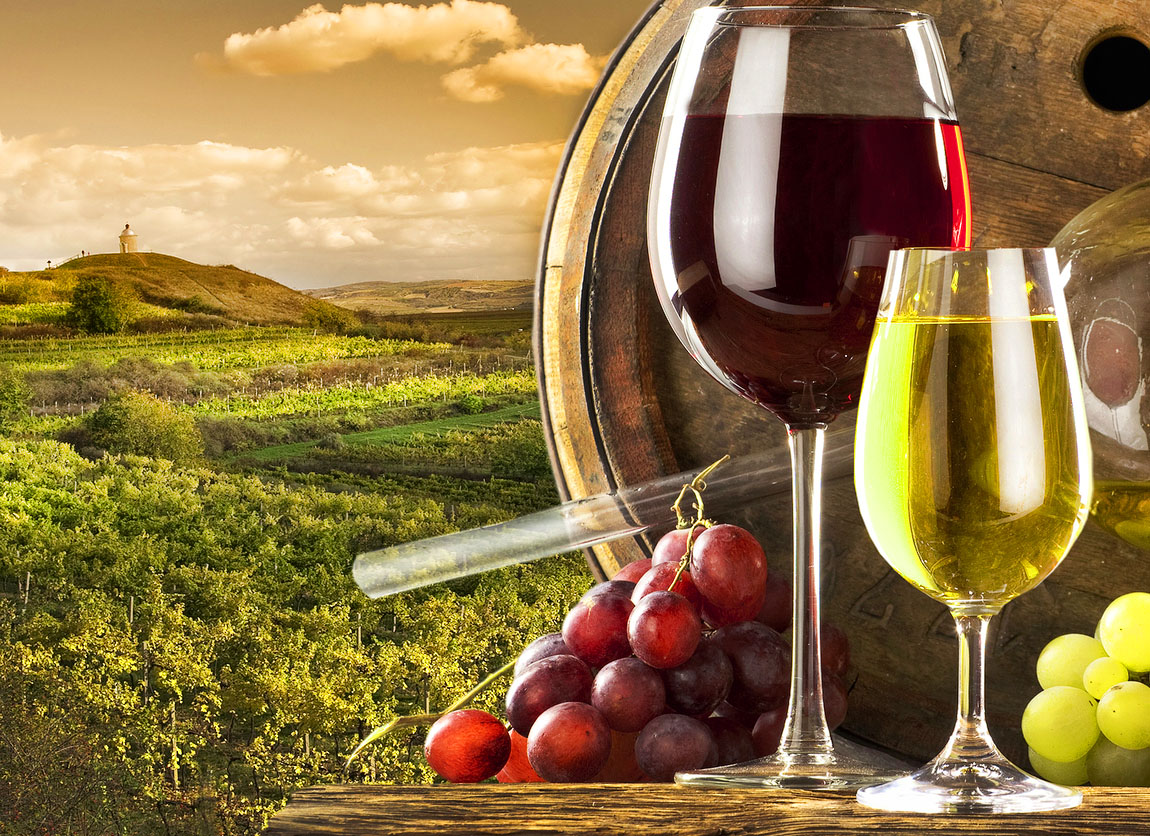 Wineries with Picnic