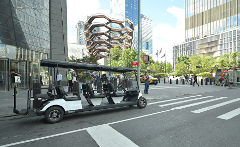 NYC: New York City Landmarks & History City Tour by Cart