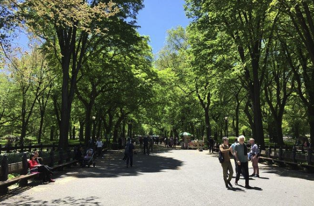 NYC: Official Central Park Walking Tour