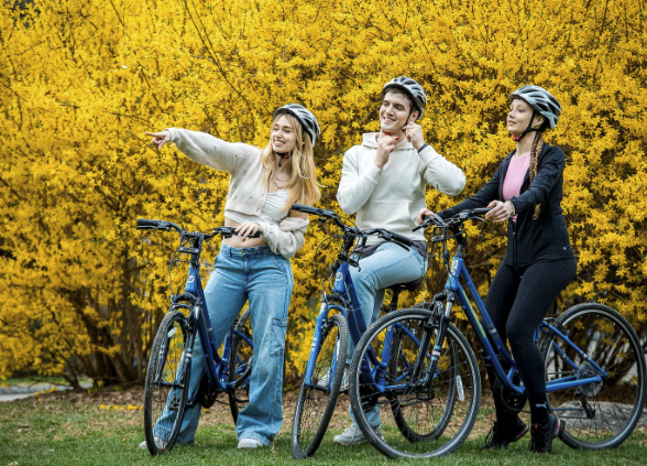 Central Park Bike Rental