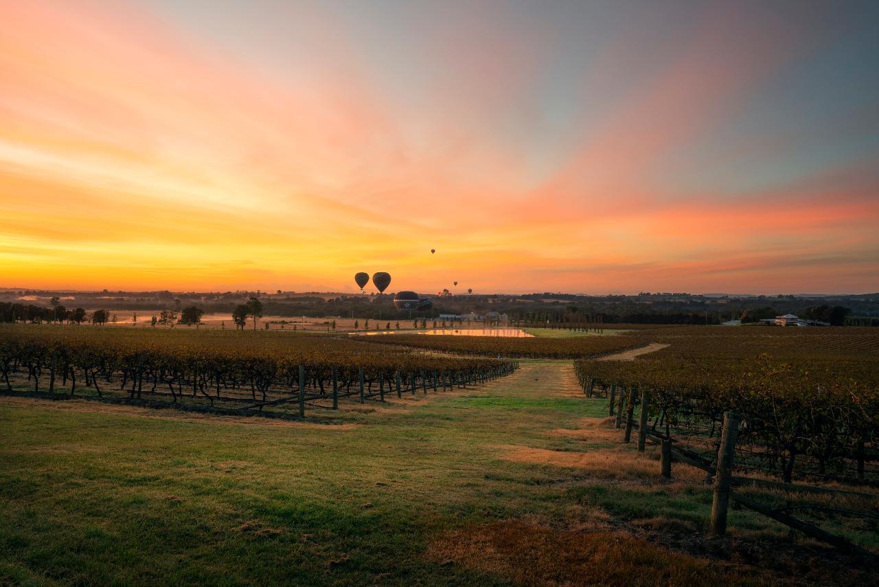 Hunter Valley Wine Region Tour