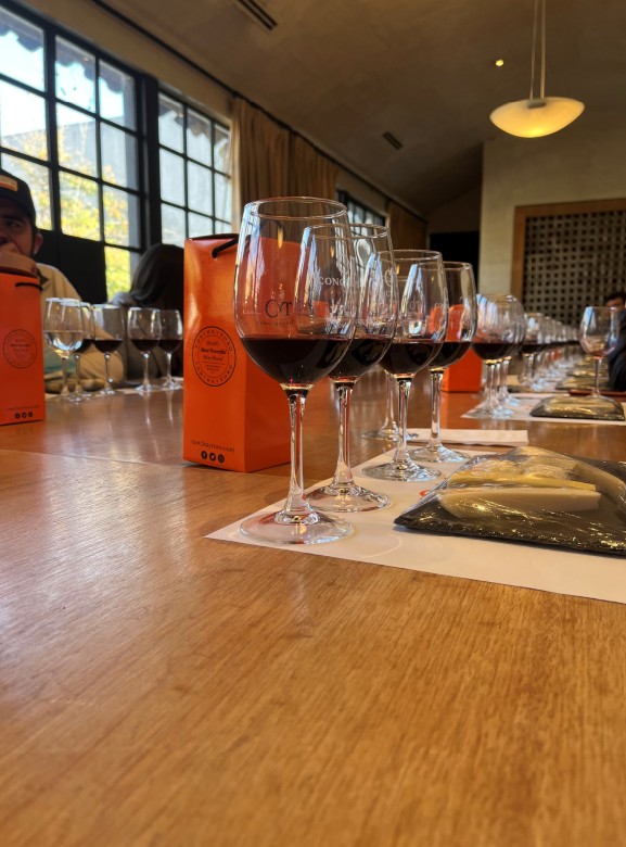 Santiago | City Tour & Concha y Toro Wine Tasting Tour