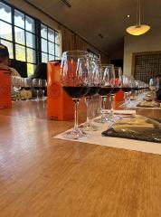 Santiago | City Tour & Concha y Toro Wine Tasting Tour