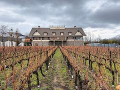 Rafting and Boutique Family Winery Dinner
