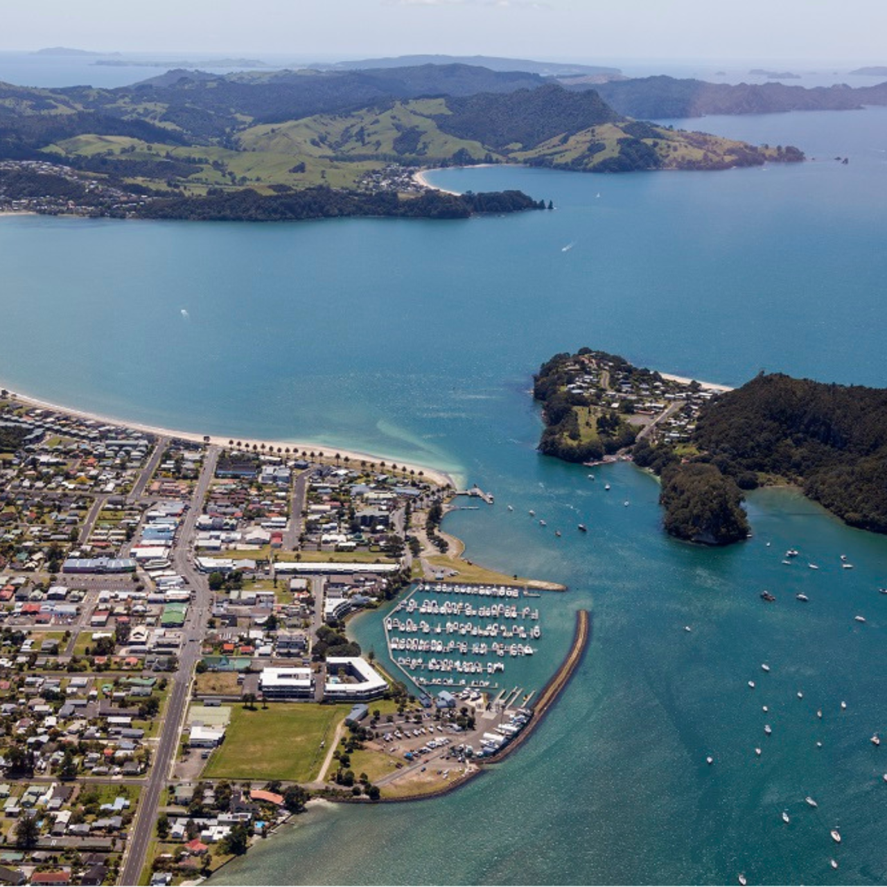 Tauranga - Whitianga 