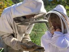 Paradise Valley: Bee Adventure Tour